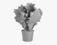 Салат растение 3D модель