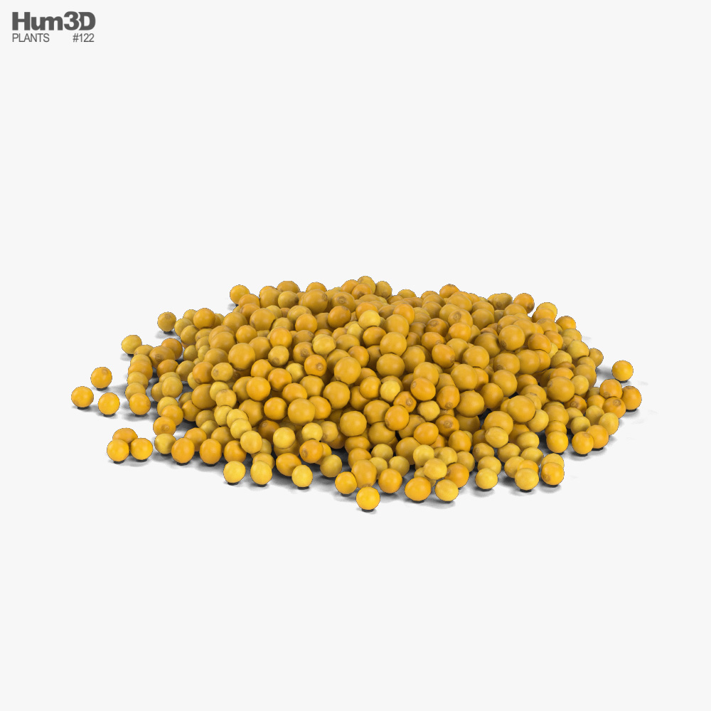 Mustard Seeds 3D model