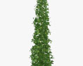 Green Growing Hops 3d model
