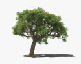 Коралове дерево 3D модель