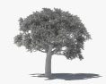 콕스퍼 산호 나무 3D 모델 