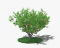 桃树 3D模型