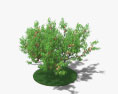 Árvore de pêssego Modelo 3d