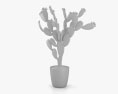 Nopal Cactus Modello 3D