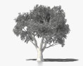 코르크나무 3D 모델 