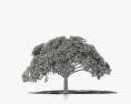 Гуанакасте дерево 3D модель