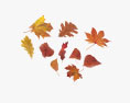 Autumn Leaves Set 3d model