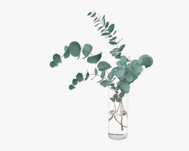 Eucalyptus Stems in Glass Vase 3D model