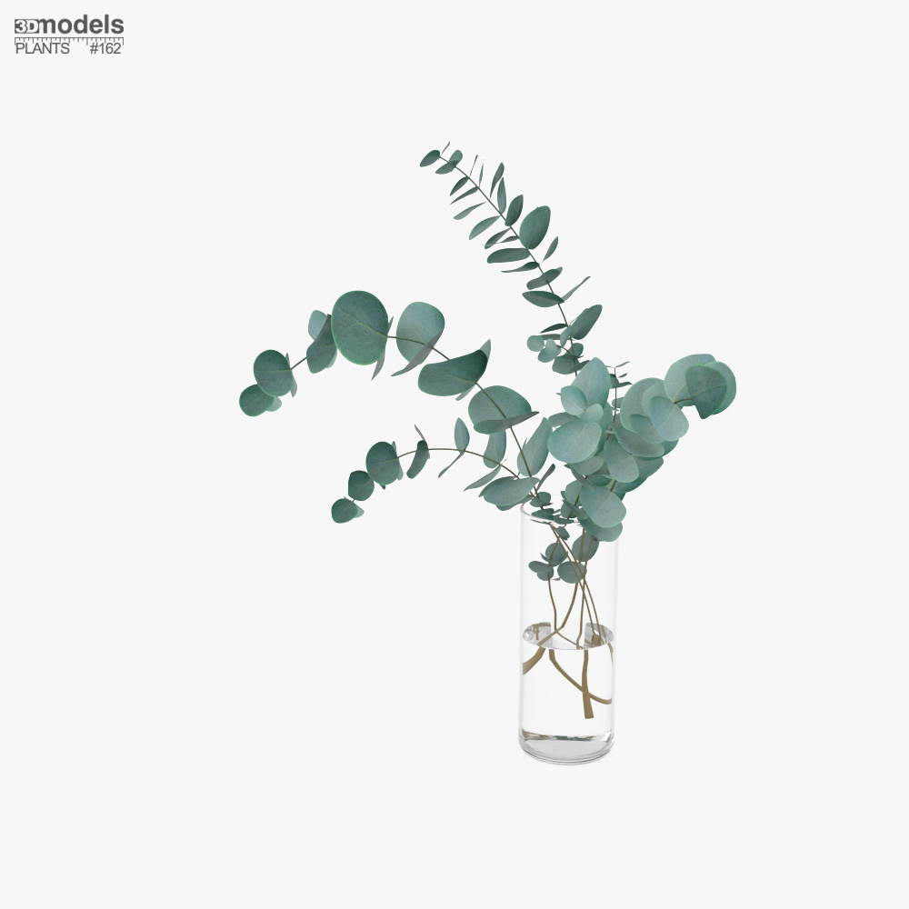 Eucalyptus Stems in Glass Vase 3D модель