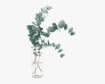 Eucalyptus Stems in Glass Vase 3Dモデル