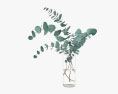Eucalyptus Stems in Glass Vase 3d model