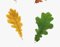 참나무 잎 3D 모델 