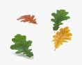 참나무 잎 3D 모델 