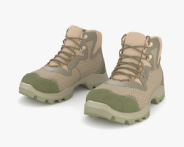 Ukrainian Military Boots 3D model