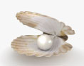 Coquillage avec perle Modèle 3d