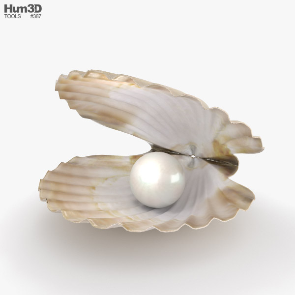 Coquillage avec perle Modèle 3D