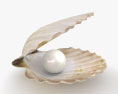 Muschel mit Perle 3D-Modell
