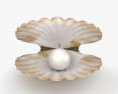 珍珠贝壳 3D模型