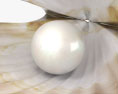 Coquillage avec perle Modèle 3d