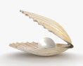 珍珠贝壳 3D模型