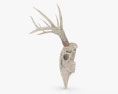 Teschio di cervo Modello 3D