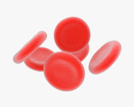 Des globules rouges Modèle 3D