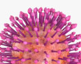 Virus de la rabia Modelo 3D
