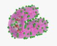 Marburg Virus 3d model