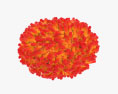 Virus de la variole Modèle 3d