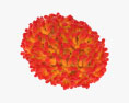 Pockenvirus 3D-Modell