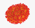 Virus de la viruela Modelo 3D