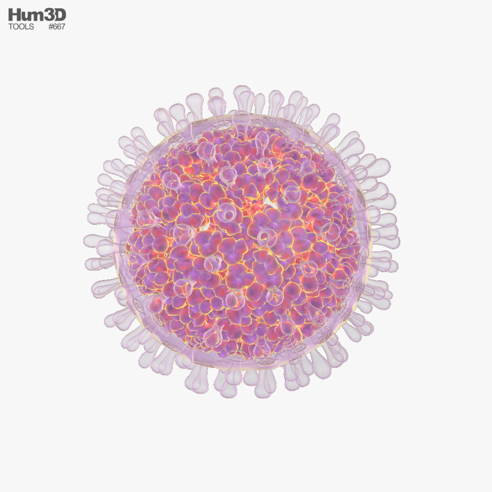 Rotavirus Modello 3D