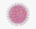 Rotavirus Modèle 3d