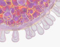 Rotavirus Modello 3D