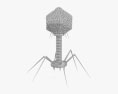 Bacteriophage 3d model