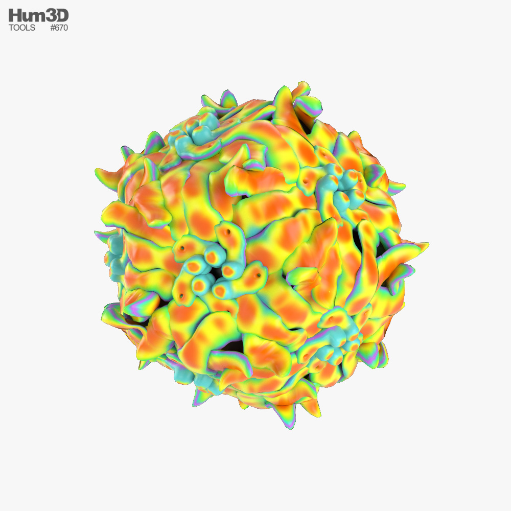 Virus adeno-associato Modello 3D