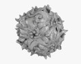Adeno-Associated Virus 3D 모델 