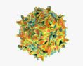 Virus adéno-associé Modèle 3d
