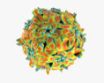 Vírus Adeno-Associado Modelo 3d