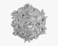Аденоассоциированный вирус 3D модель