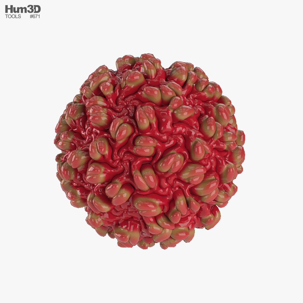 Hepatitis B 3D-Modell