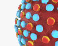 C型肝炎 3Dモデル