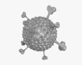 Adenovirus 3d model