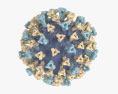 麻疹ウイルス 3Dモデル