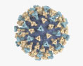 Virus del morbillo Modello 3D