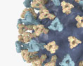 Virus del sarampión Modelo 3D