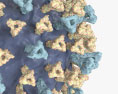 Masern Virus 3D-Modell
