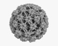 유두종 바이러스 3D 모델 