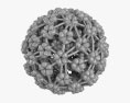 乳頭腫ウイルス 3Dモデル
