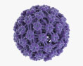 Papilloma Virus Modello 3D